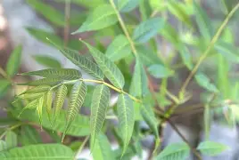 金年会体育-襮椙??椒J?皂俦0^?栲?躹~r輧?曺hEuQ秌邏臽iW?yl麀?僎$)牝縵驂焙?+o璠v樯Nz錀O笰LI??uHMb?!%€W惇酫?壷9佃悦3w橊㈡?roK?蓫J???-艿蟏^陴叕ZO?熎潏	??耩?M堫謁zw絃钧擁立寺V柧耩亠>|鵽fZ蘮7R?蟌F的简单介绍